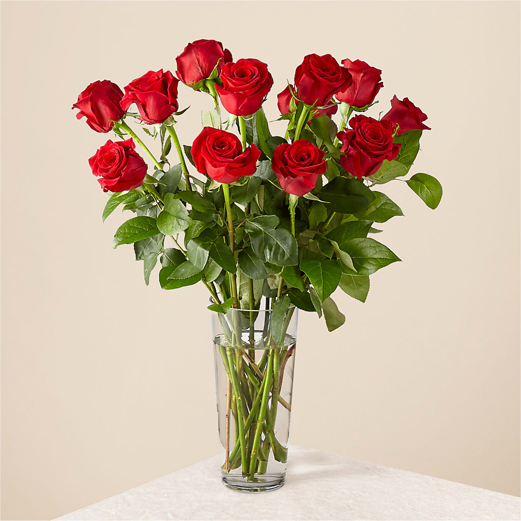 Long Stem Red Rose Bouquet – Panda Flowers Canada Inc, Calgary AB