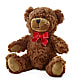 Adorable Plush Bear – Panda Flowers Canada Inc, Calgary AB