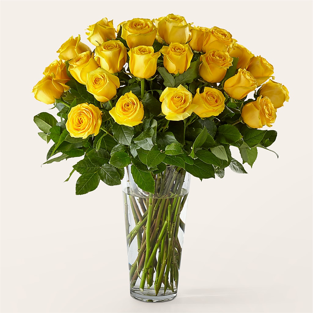 Long Stem Yellow Rose Bouquet – Panda Flowers Canada Inc, Calgary AB