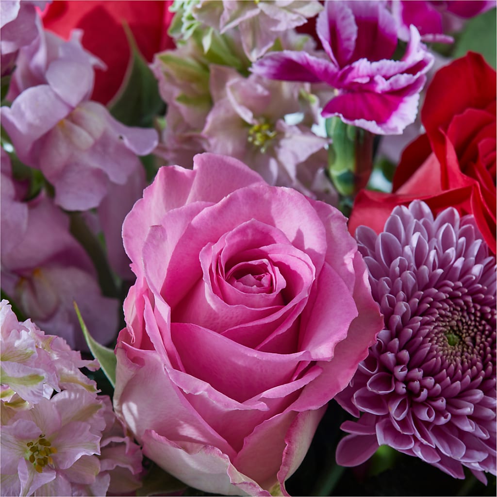 Better Together - A Luxury Florist Original – Panda Flowers Canada Inc, Calgary AB