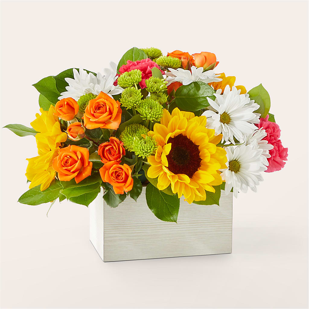 Sun-drenched Blooms Box Bouquet – Panda Flowers Canada Inc, Calgary AB