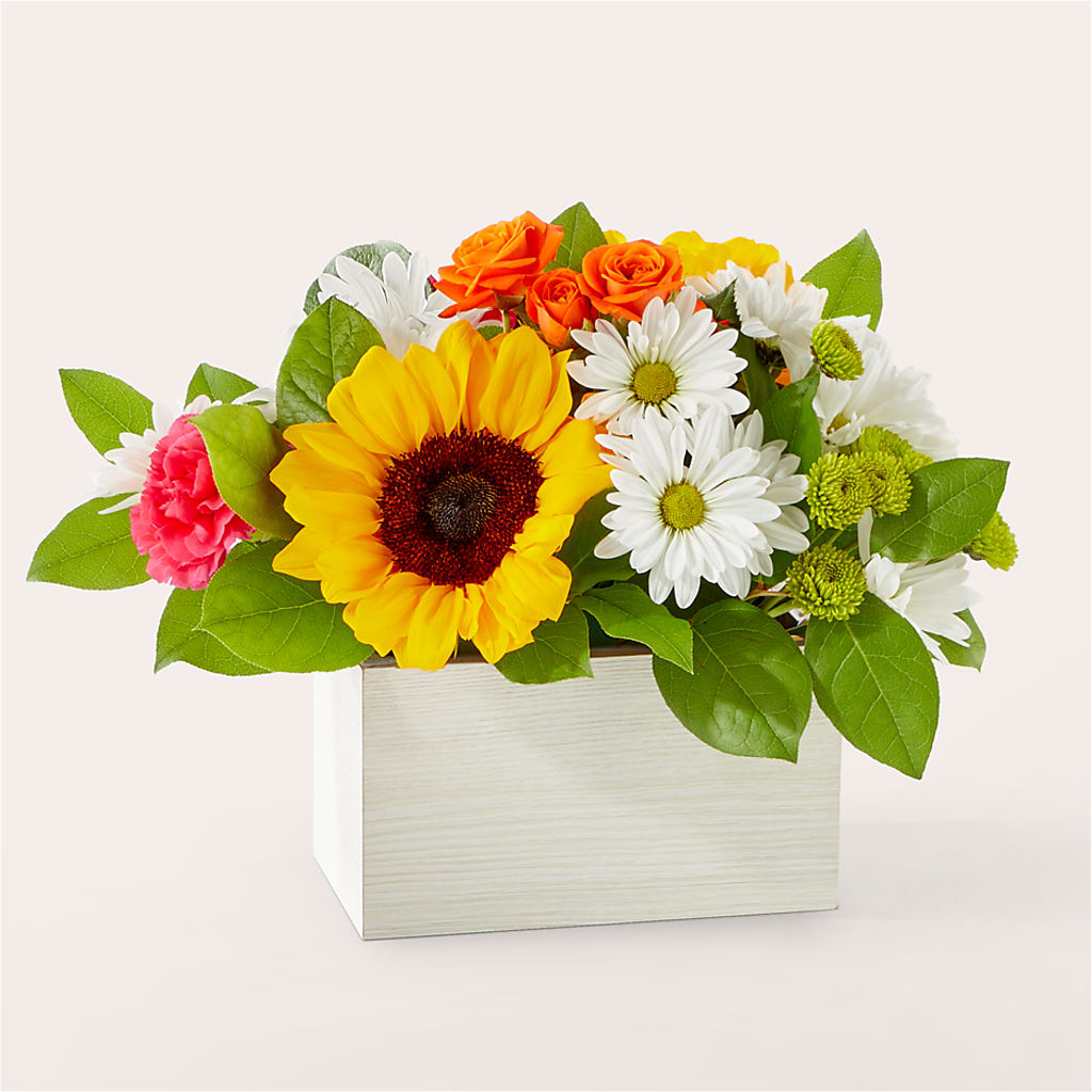 Sun-drenched Blooms Box Bouquet – Panda Flowers Canada Inc, Calgary AB