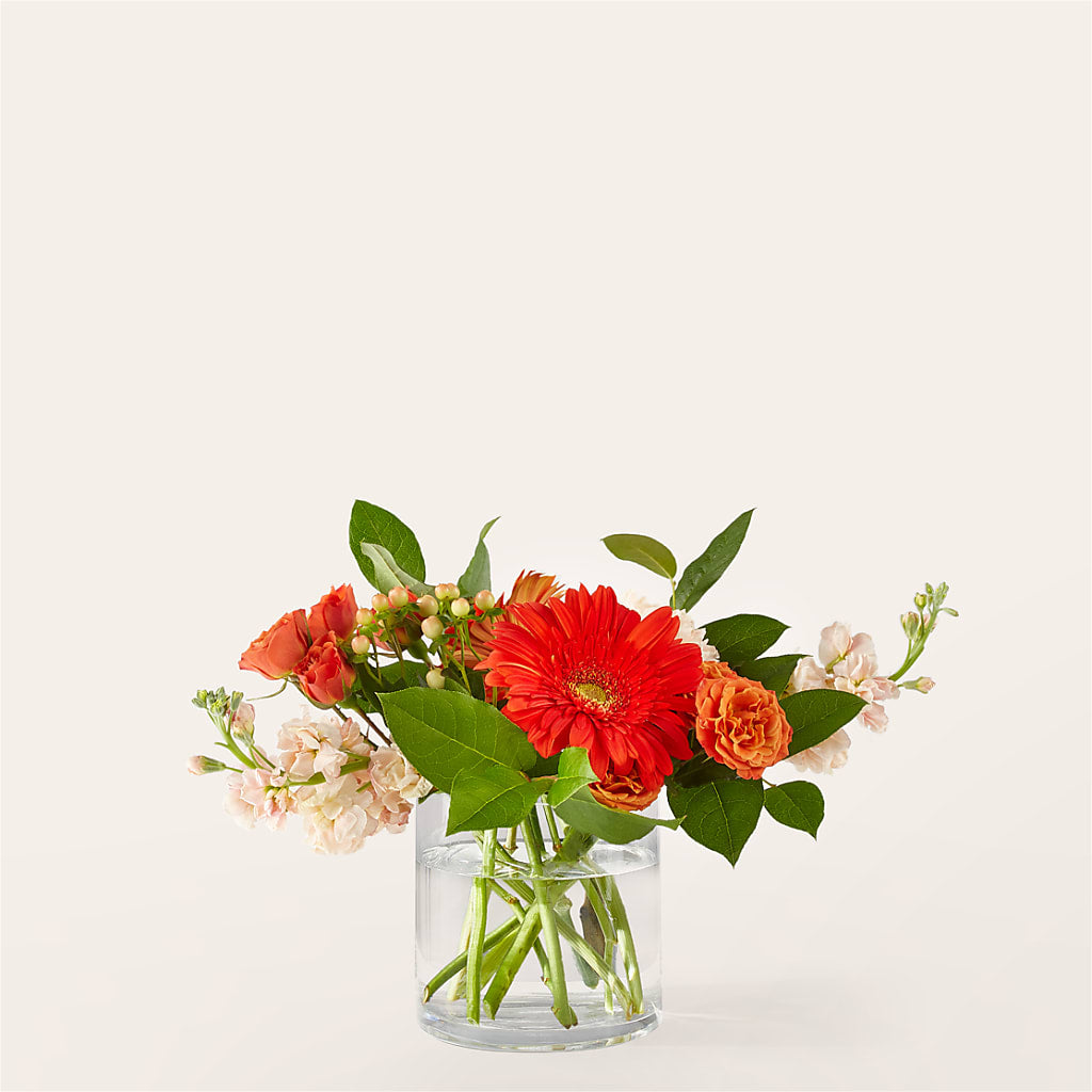Paloma Please Bouquet – Panda Flowers Canada Inc, Calgary AB