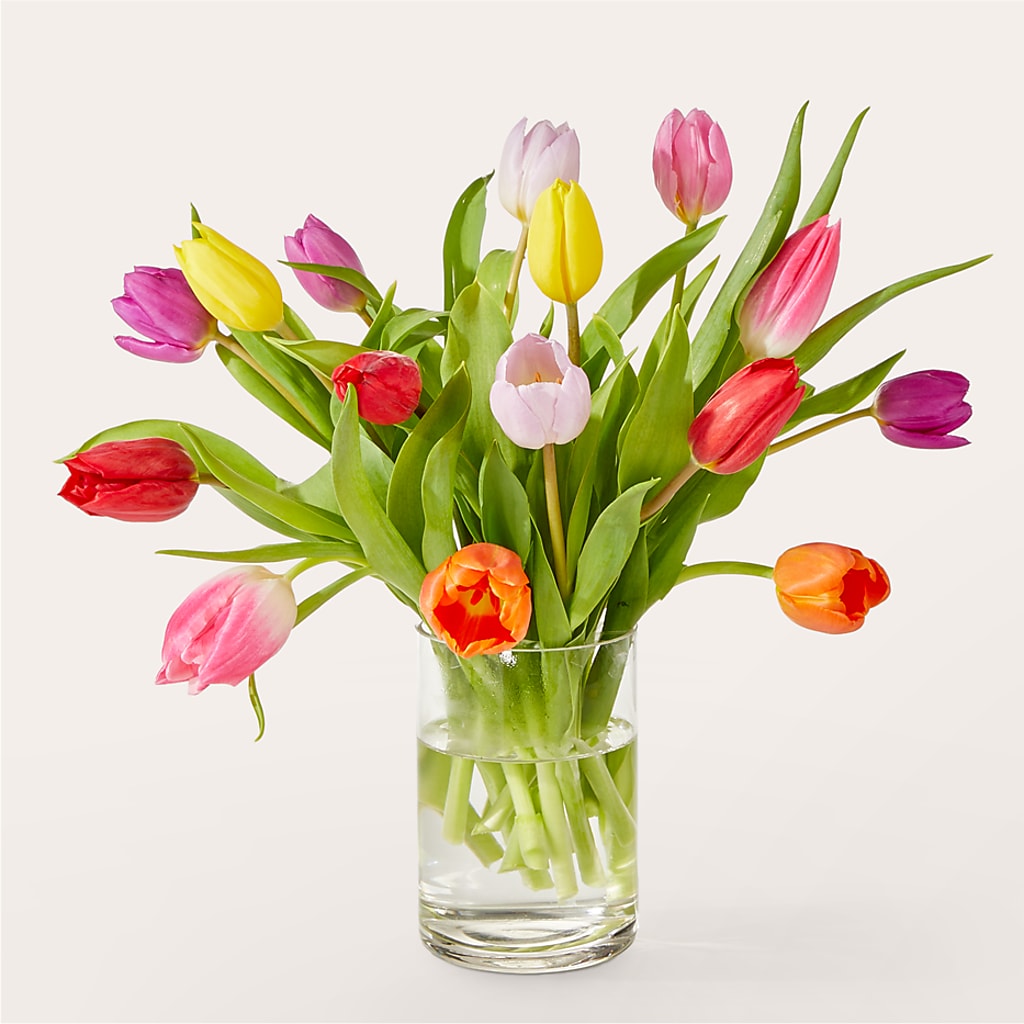 Let's Talk Tulips Bouquet – Panda Flowers Canada Inc, Calgary AB