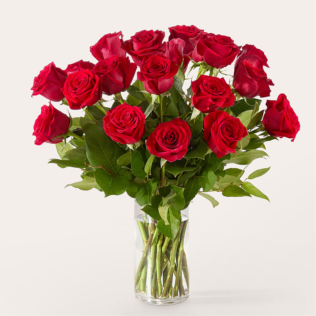 The One Red Rose Bouquet – Panda Flowers Canada Inc, Calgary AB