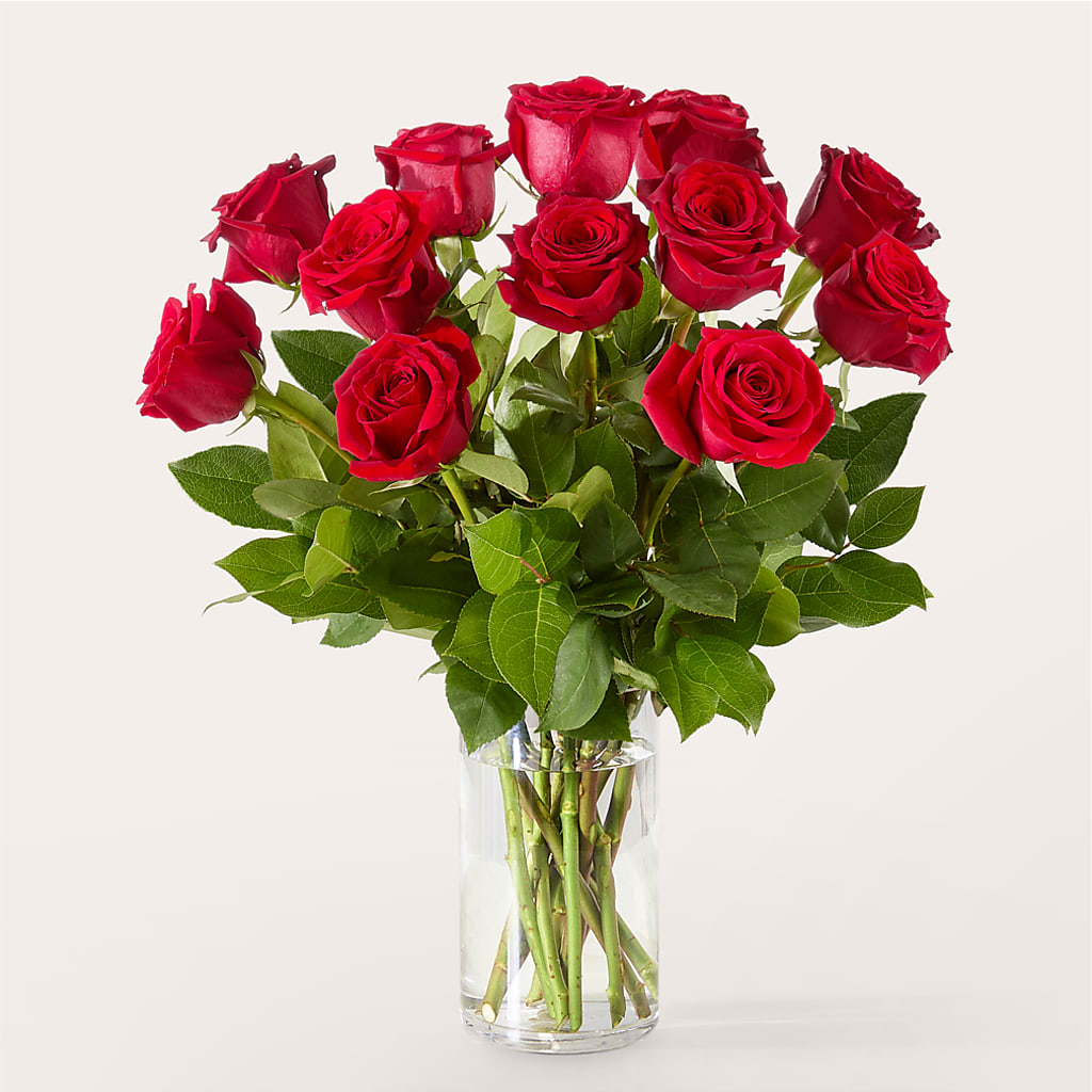 The One Red Rose Bouquet – Panda Flowers Canada Inc, Calgary AB