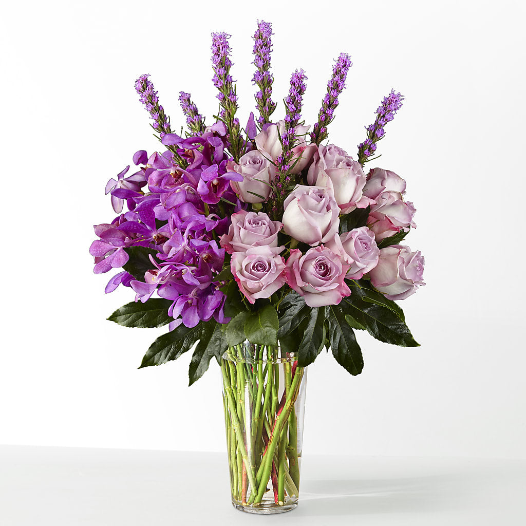 The Maximalist – Panda Flowers Canada Inc, Calgary AB