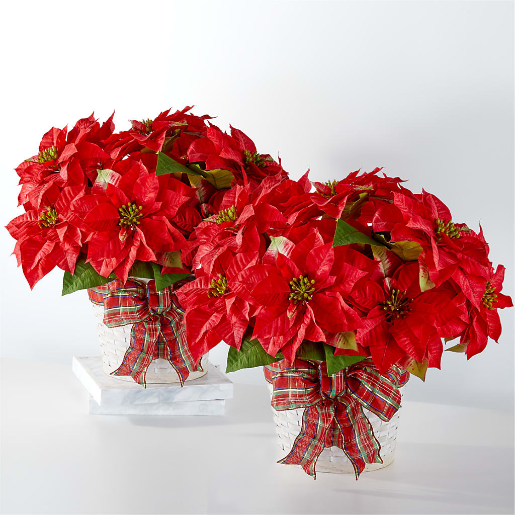 Paquete de flores de Pascua para unas felices fiestas