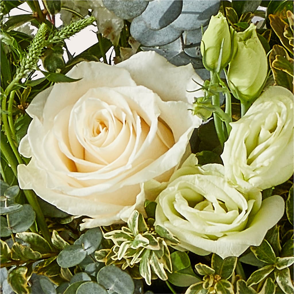 Cashmere Bouquet –  Panda Flowers Canada Inc, Calgary AB