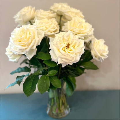Long Stem Yellow Rose Bouquet –  Panda Flowers Canada Inc, Calgary AB