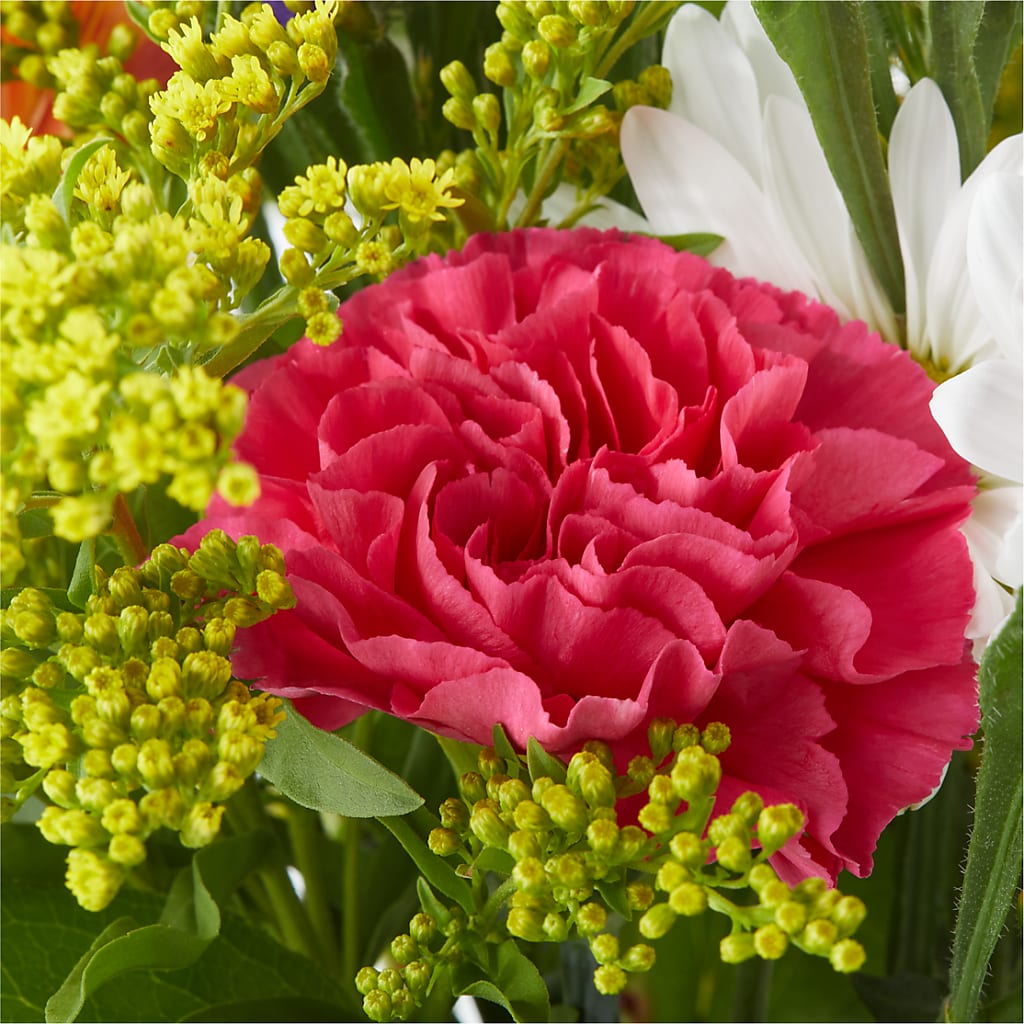 Oopsie Daisy Bouquet –  Panda Flowers Canada Inc, Calgary AB