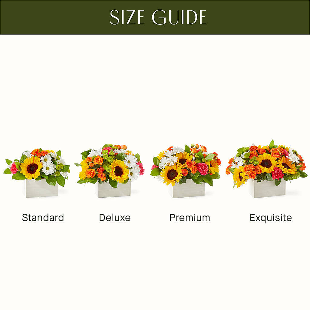 Sun-drenched Blooms Box Bouquet –  Panda Flowers Canada Inc, Calgary AB