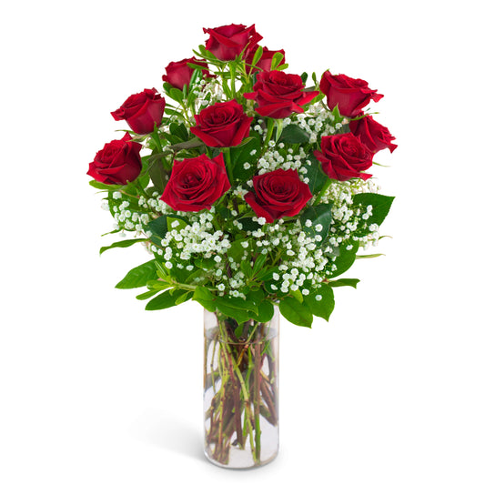 Red Roses with Babies Breath