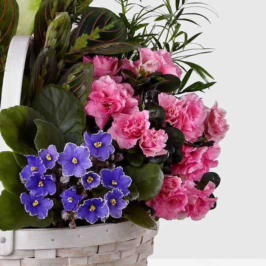 Peaceful Garden Planter –  Panda Flowers Canada Inc, Calgary AB
