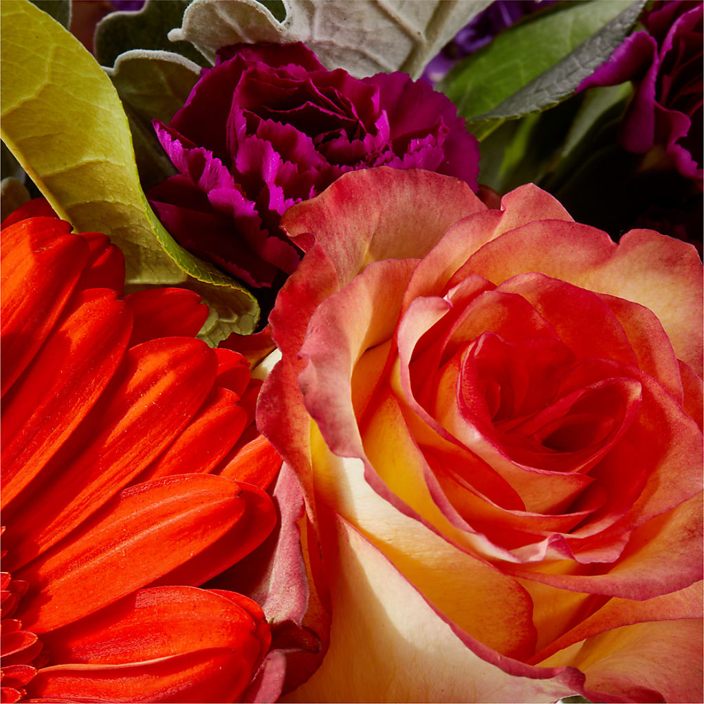Sangria Bouquet –  Panda Flowers Canada Inc, Calgary AB