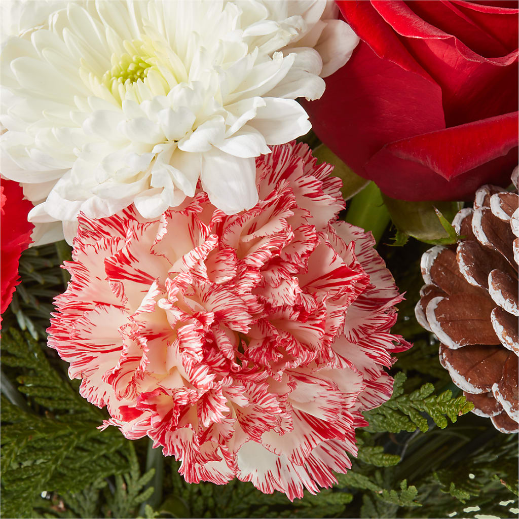 Candy Cane Lane Bouquet –  Panda Flowers Canada Inc, Calgary AB