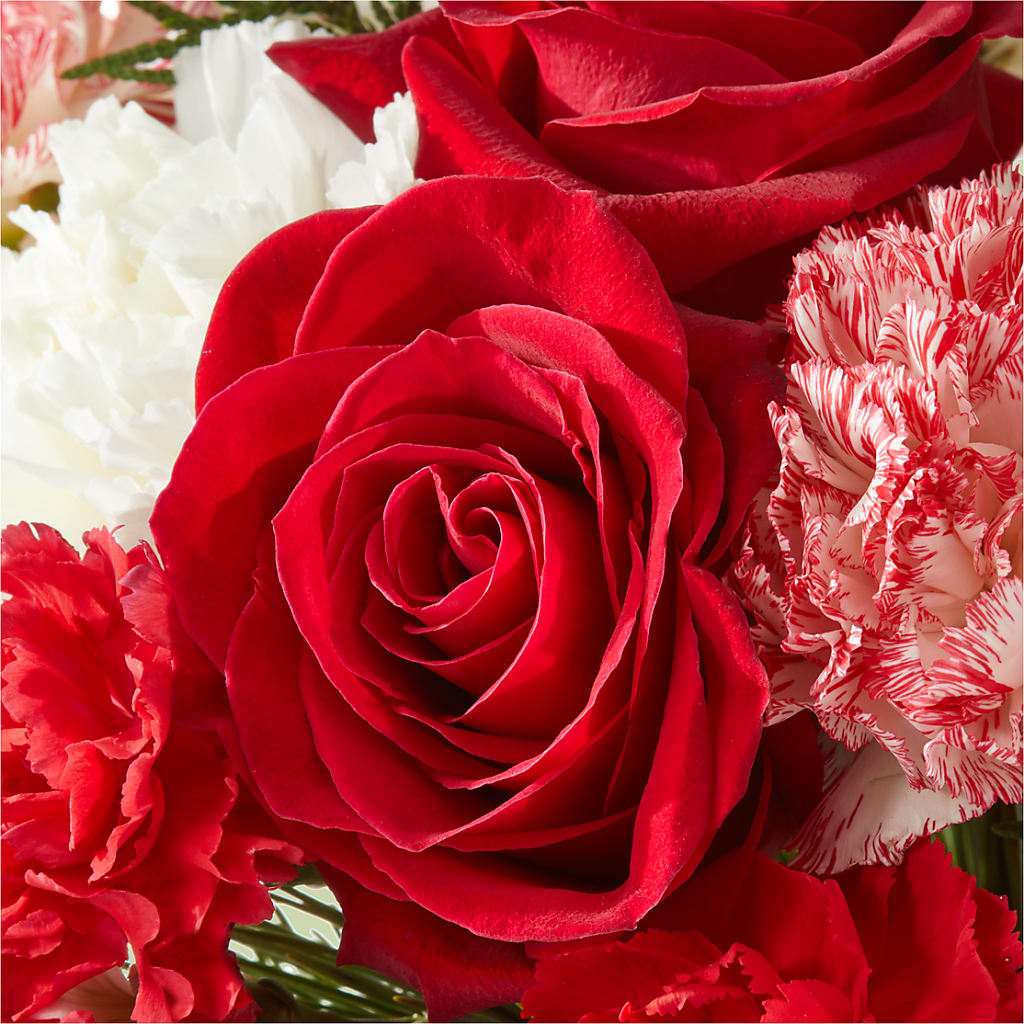 Candy Cane Lane Bouquet –  Panda Flowers Canada Inc, Calgary AB