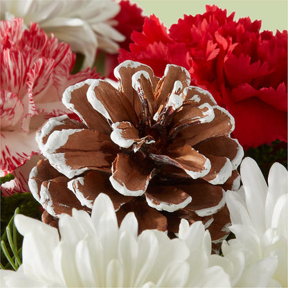 Candy Cane Lane Bouquet –  Panda Flowers Canada Inc, Calgary AB