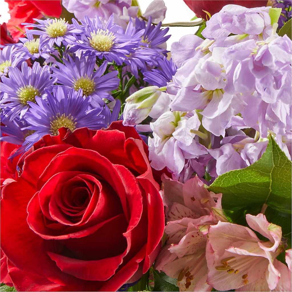 Your Majesty Bouquet –  Panda Flowers Canada Inc, Calgary AB