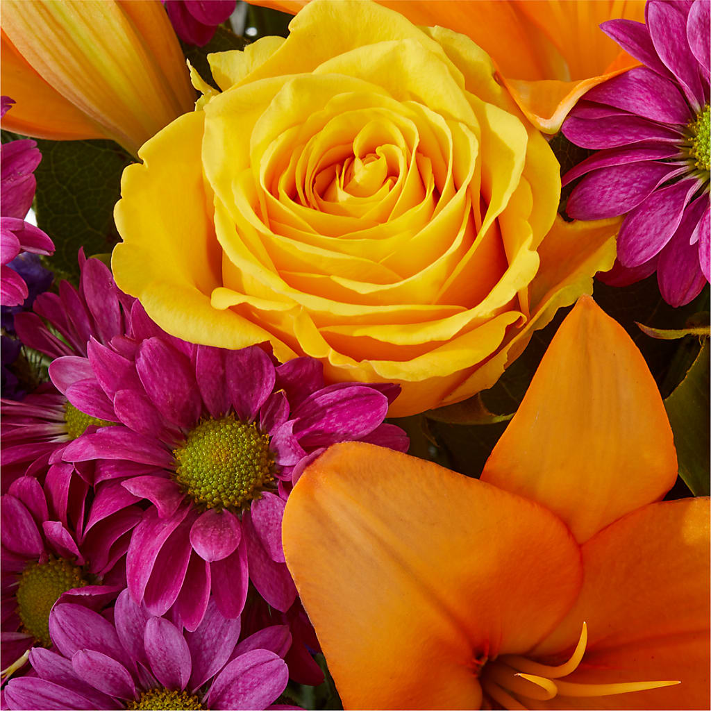 Colorful Visions Bouquet –  Panda Flowers Canada Inc, Calgary AB