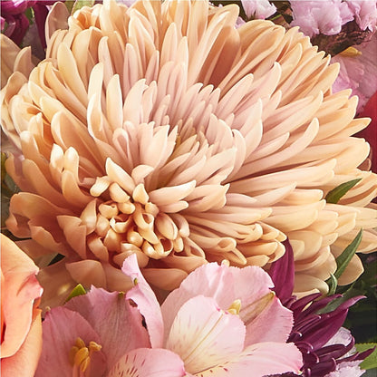 Berry Cobbler Bouquet –  Panda Flowers Canada Inc, Calgary AB