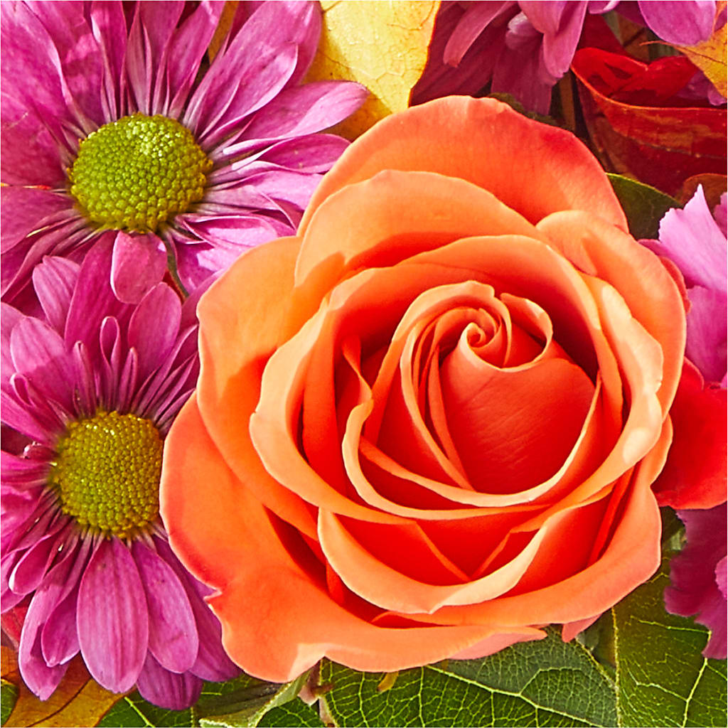Mum's the Word Bouquet –  Panda Flowers Canada Inc, Calgary AB