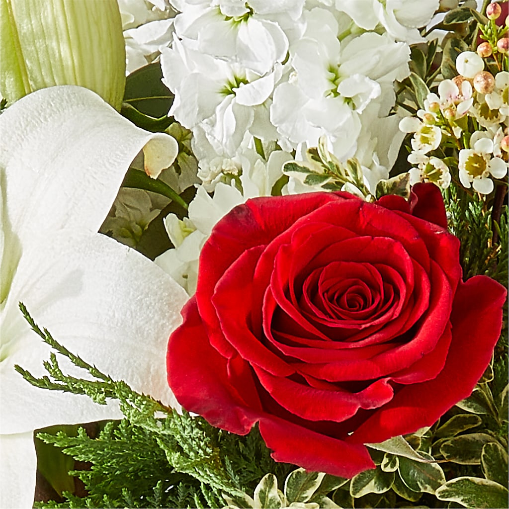 Twinkle Lights Bouquet –  Panda Flowers Canada Inc, Calgary AB