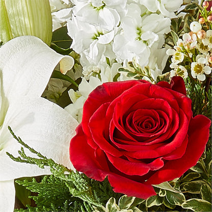 Twinkle Lights Bouquet –  Panda Flowers Canada Inc, Calgary AB