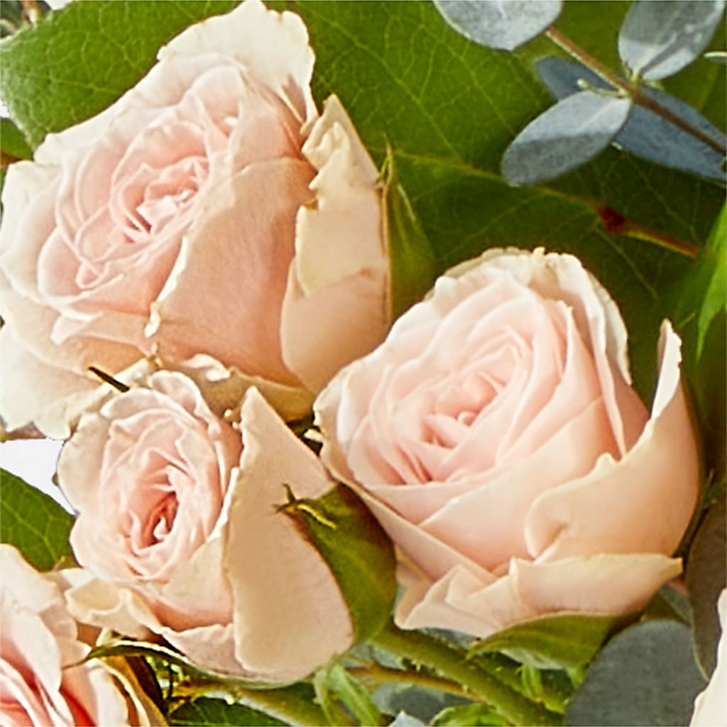 Inspired Bouquet –  Panda Flowers Canada Inc, Calgary AB