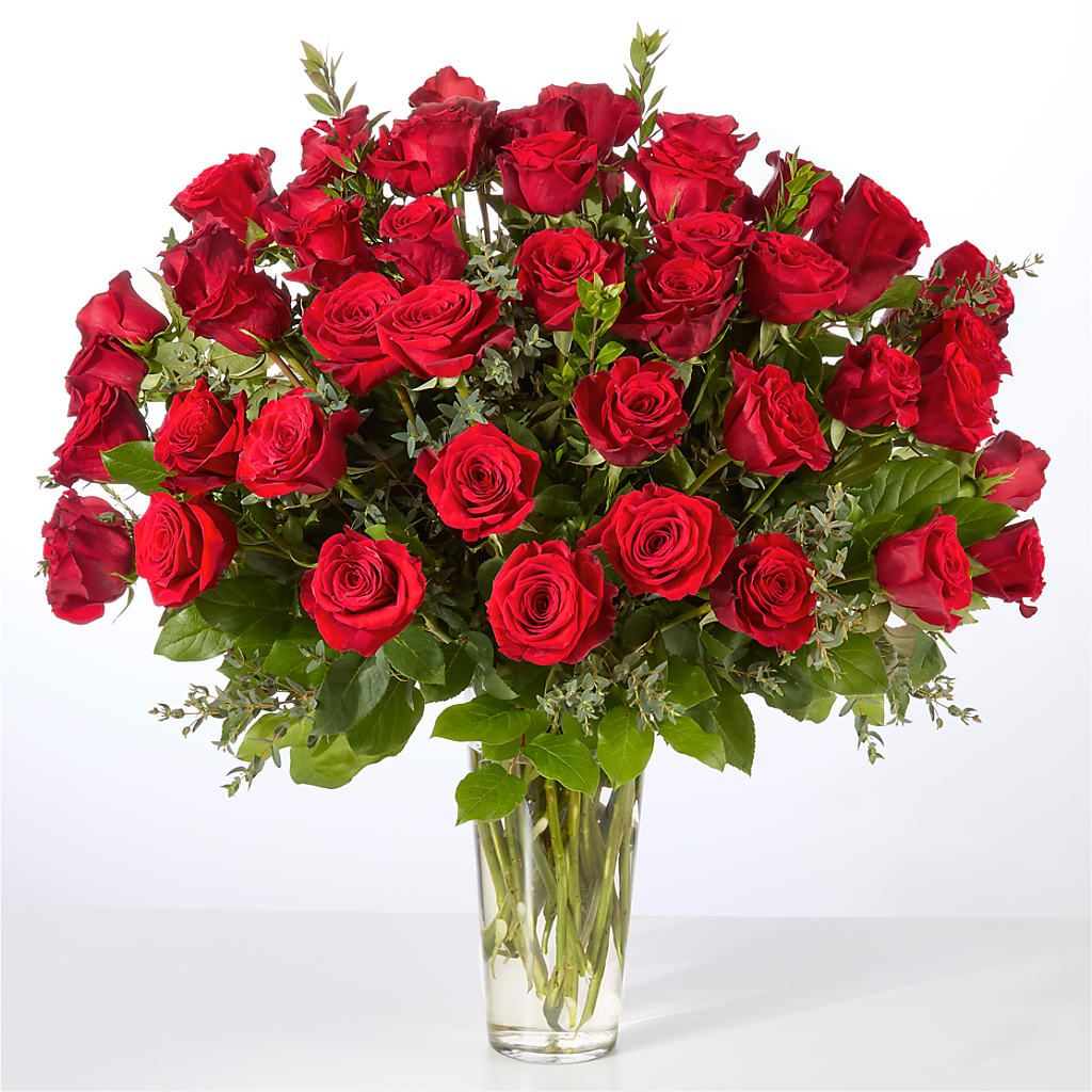 Forever Yours Fifty Stem Red Rose Bouquet –  Panda Flowers Canada Inc, Calgary AB