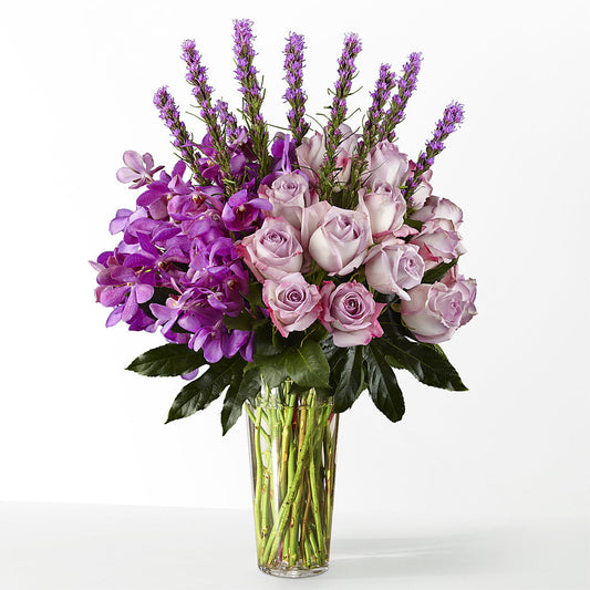 The Maximalist –  Panda Flowers Canada Inc, Calgary AB